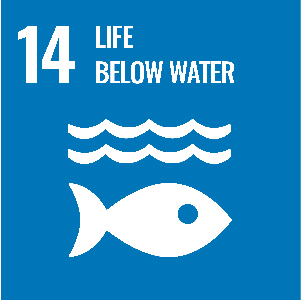 UN Goal - Life below water