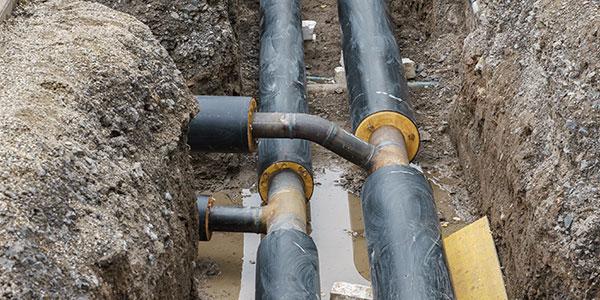 © ThomBal – stock.adobe.com